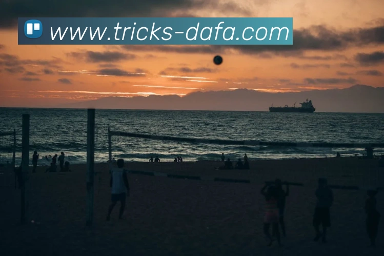 大发彩票平台生态图