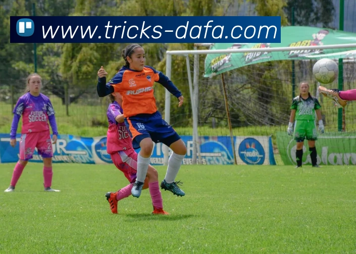 大发彩票APP 封面图